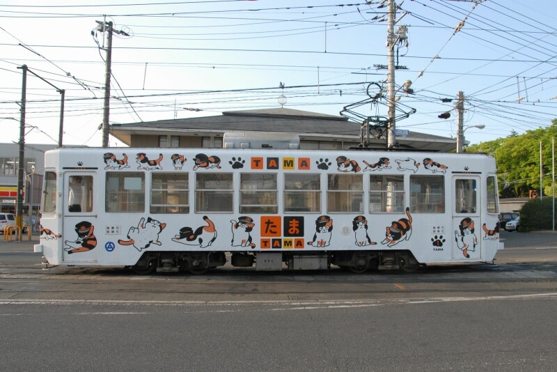たま電車