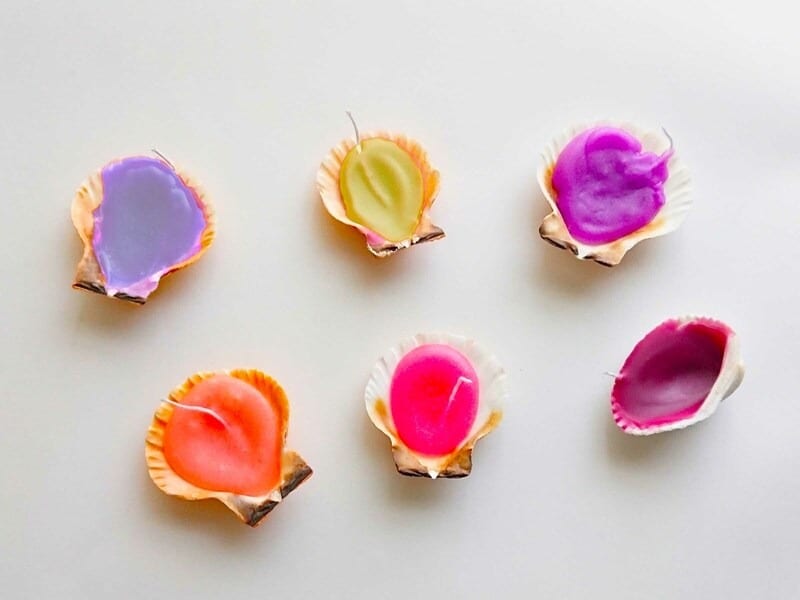 かわいい貝殻のキャンドルが完成！