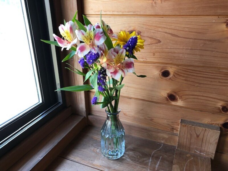 セリアの「ラージガラスボトル」に花を生ける