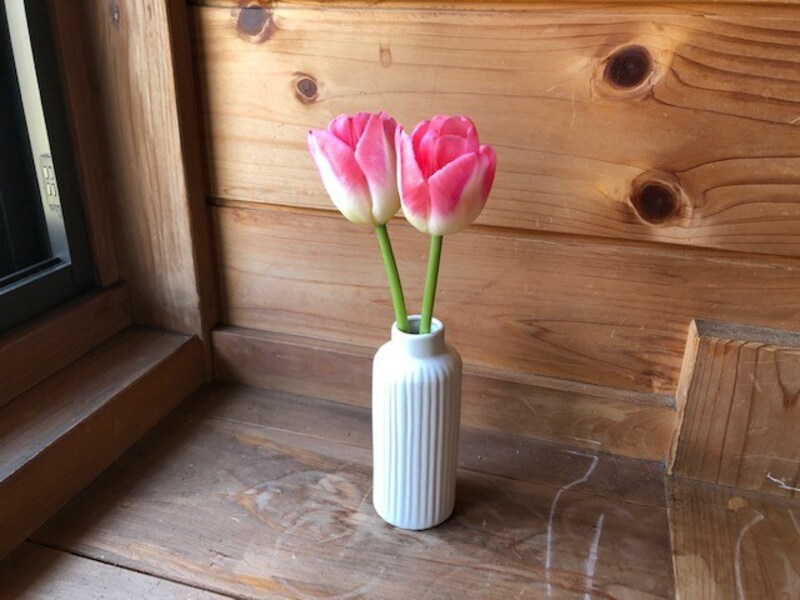 「ラインボトルベース」にチューリップを生ける