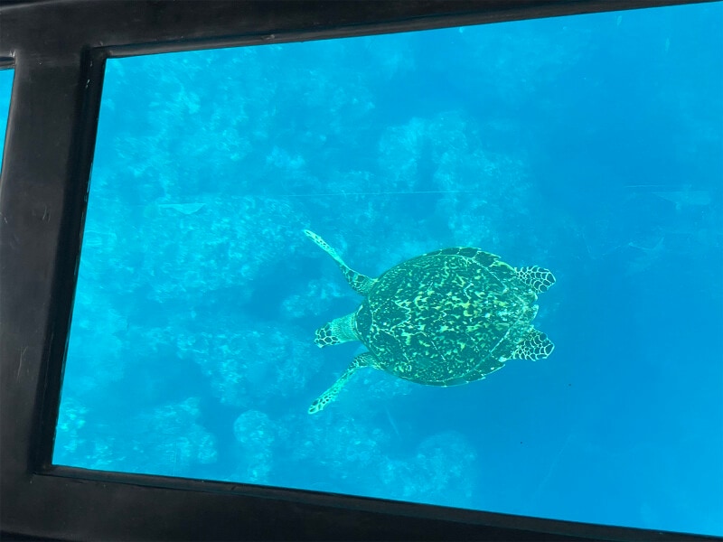 川平湾のグラスボート