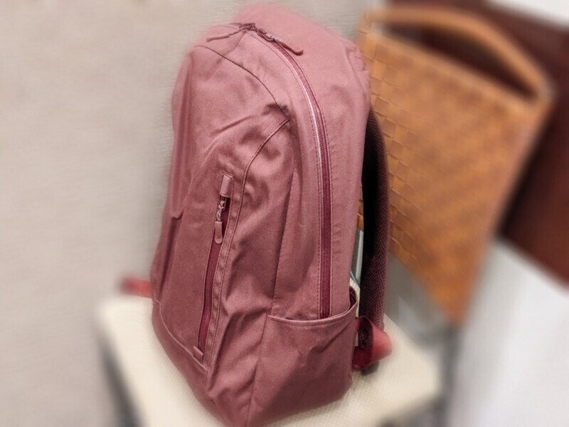 ワークマンの「防水デイバッグ」