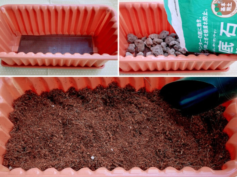 100均の香味野菜でプランター栽培