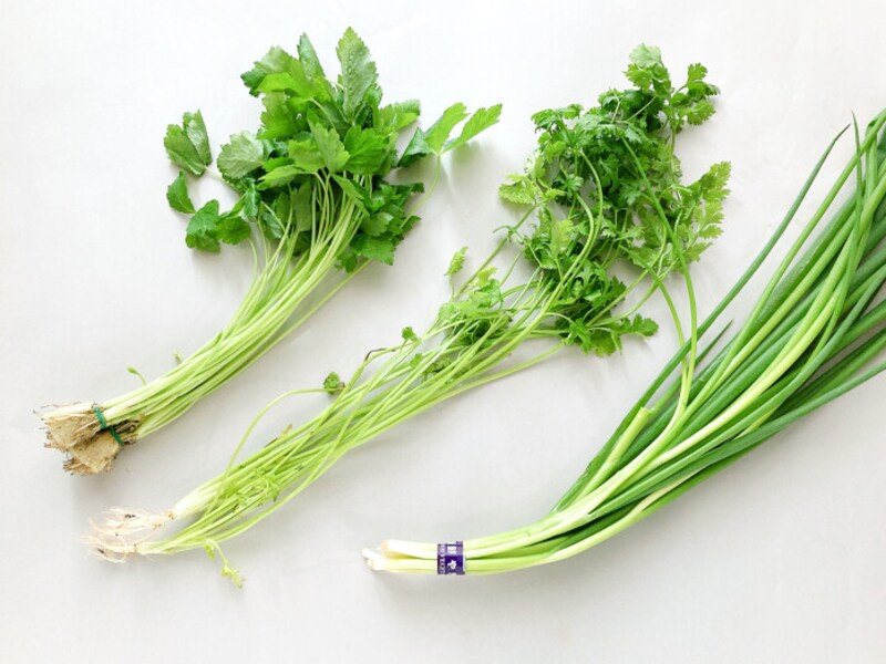 100均の香味野菜でプランター栽培