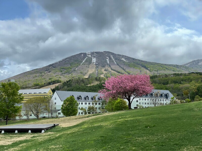 スキー場以外にゴルフクラブやテニスクラブ、ホテル、温泉、牧場などの施設がそろう安比高原