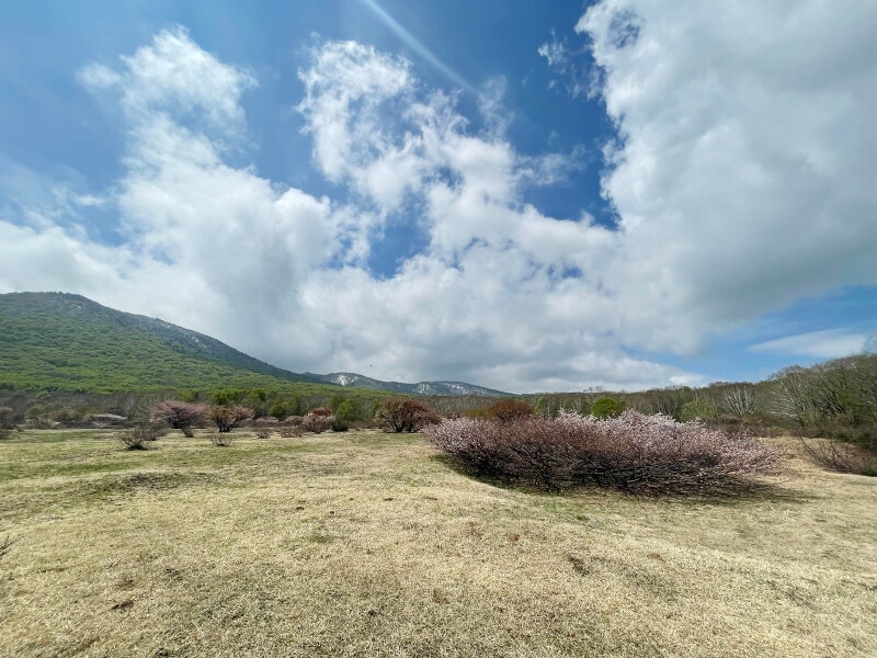 岩手県北西部、十和田八幡平国立公園・八幡平区域に隣接する安比高原