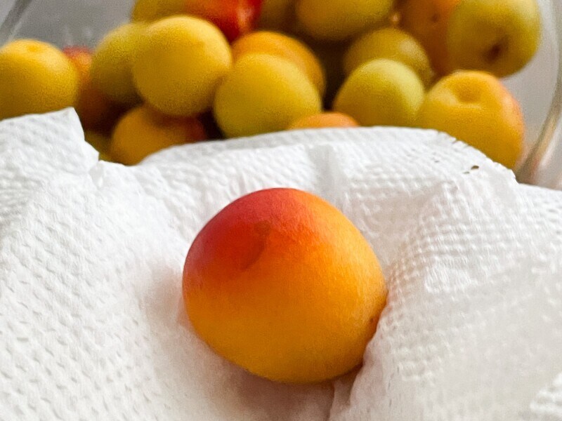 キッチンペーパーで水気と汚れを拭き取る