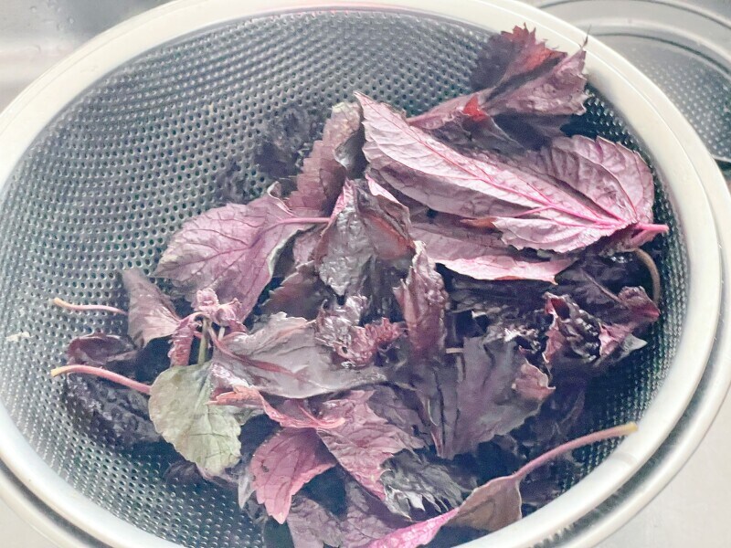 赤しその葉を枝から取り塩もみする