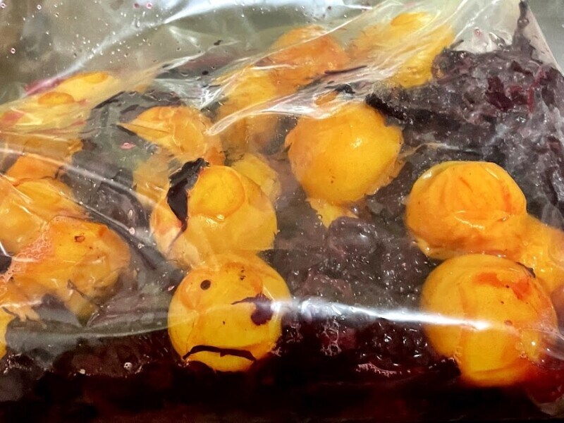 梅の袋に赤しそを入れる