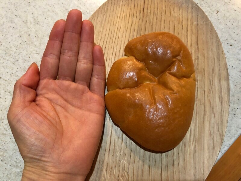 大人の女性の手のひらよりも少し小さいサイズ