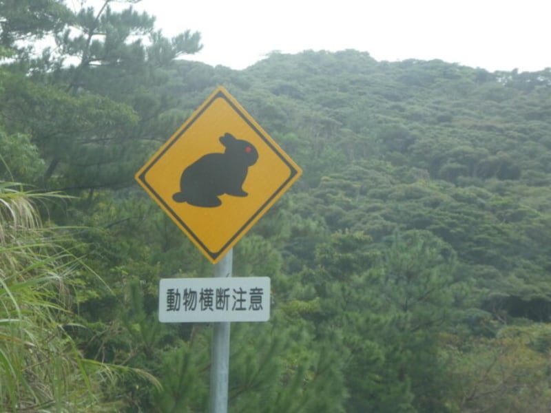 動物横断注意の標識（アマミノクロウサギ）