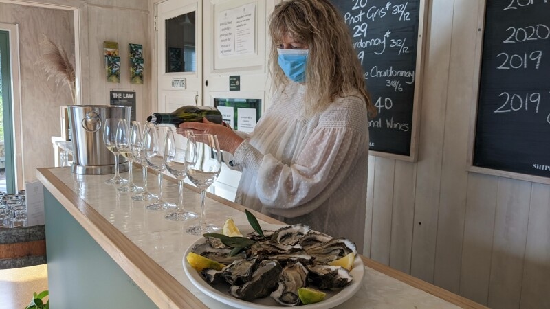 ニュージーランド,海外旅行,安全対策