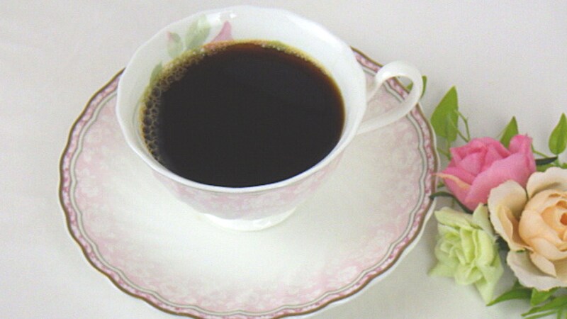 コストコ　ブリタ