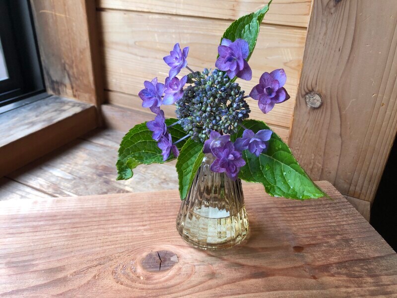 「ストライプコーンベース　サンセットカラー」