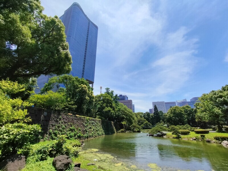 カメラの作例