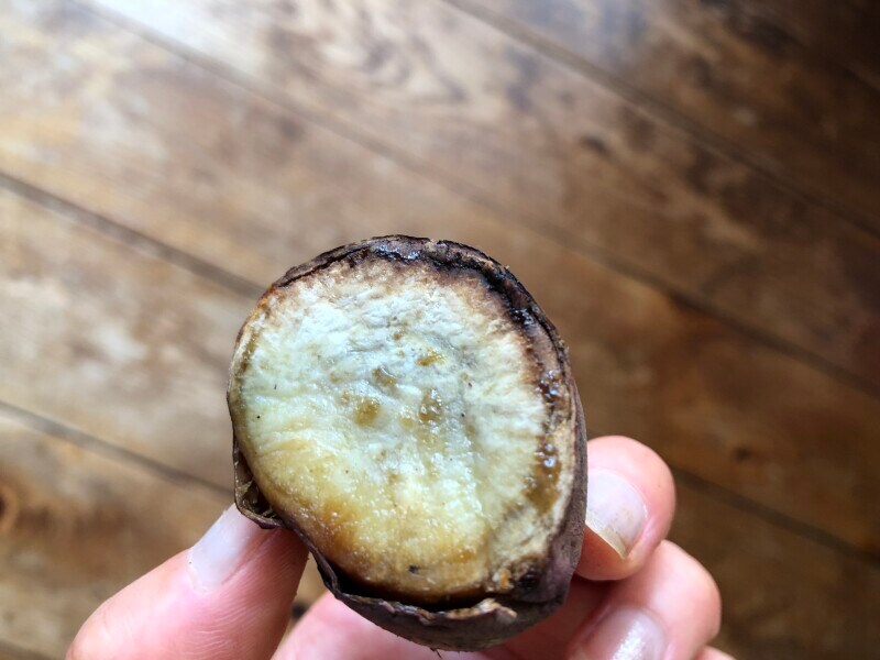 かたくなった端の部分が美味しい！