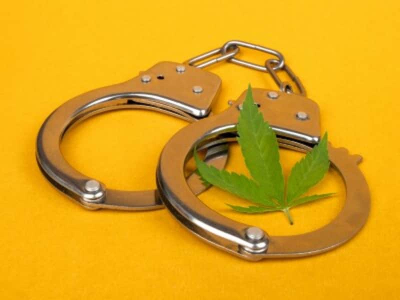 大麻栽培の罪・違法・合法の考え方