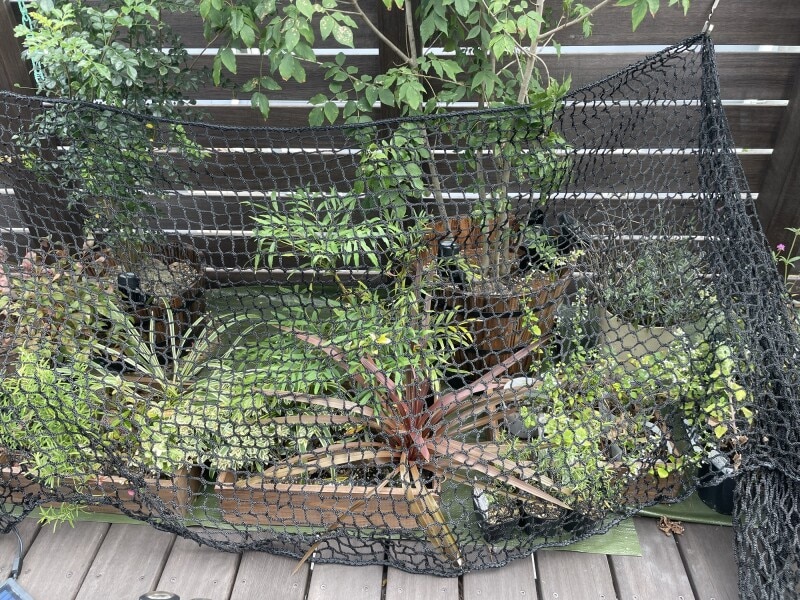 台風準備安全ネット