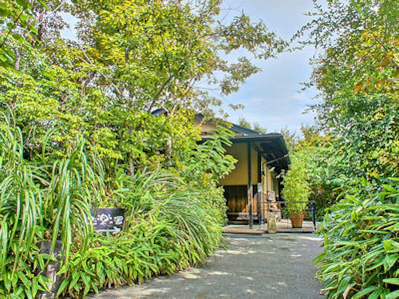 縄文天然温泉「志楽の湯」