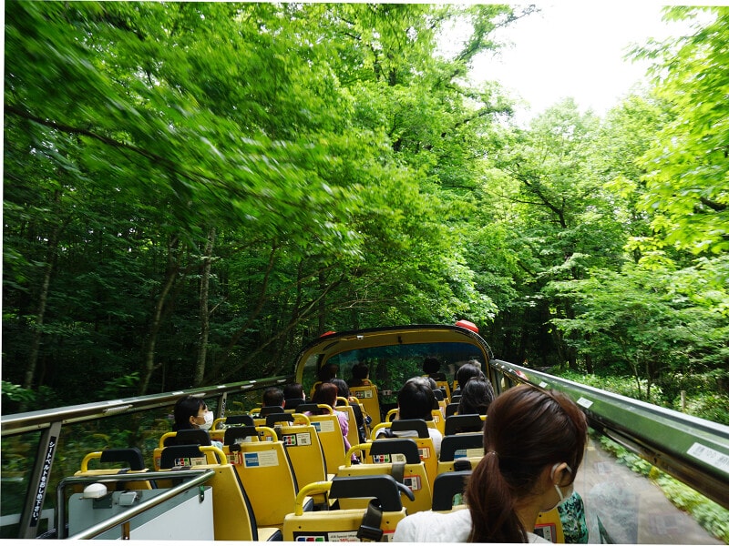 星野リゾート 奥入瀬渓流ホテル「渓流オープンバスツアー」