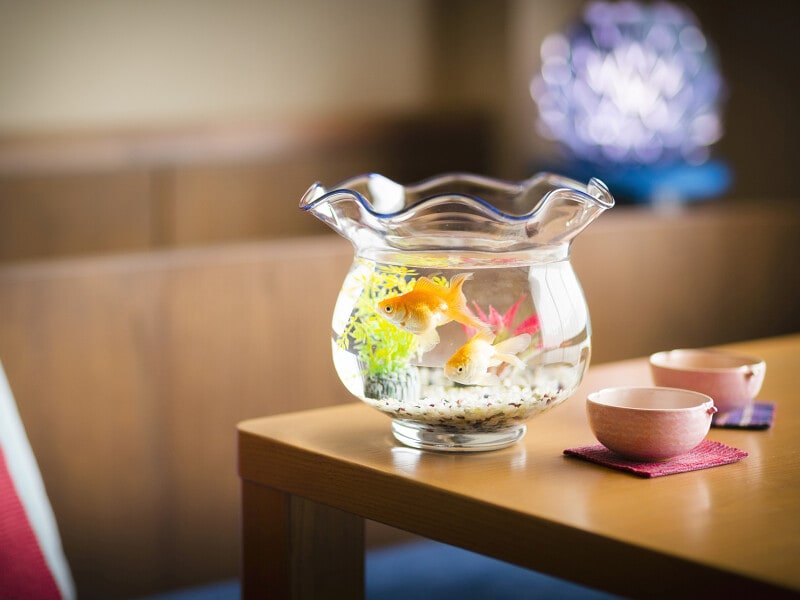 しがっこ金魚祭り