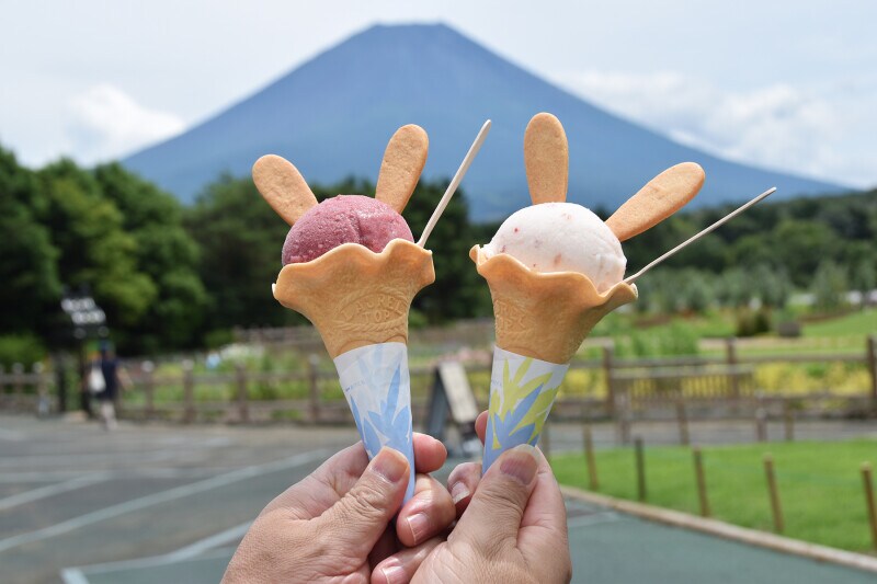 ピーターラビット イングリッシュガーデン