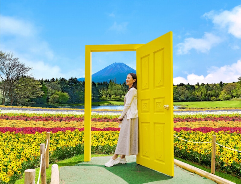 虹の花まつり