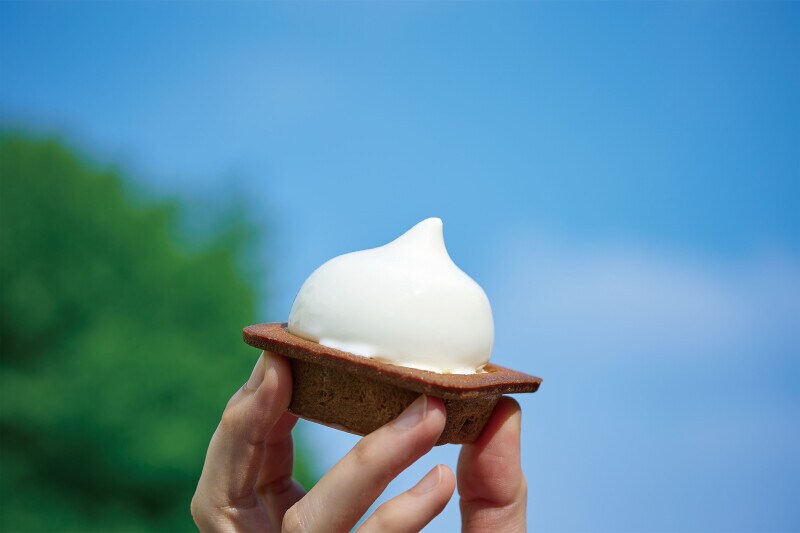 夏のスイーツギフト
