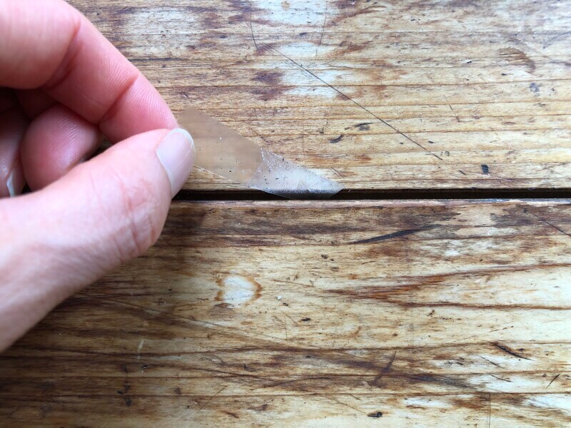 床の隙間の掃除にも使える