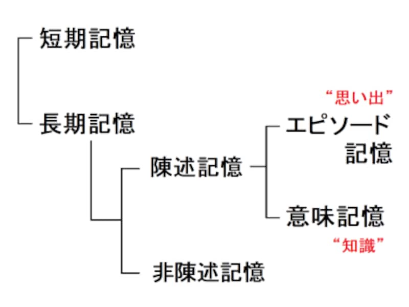 短期記憶,長期記憶,エピソード記憶,意味記憶,