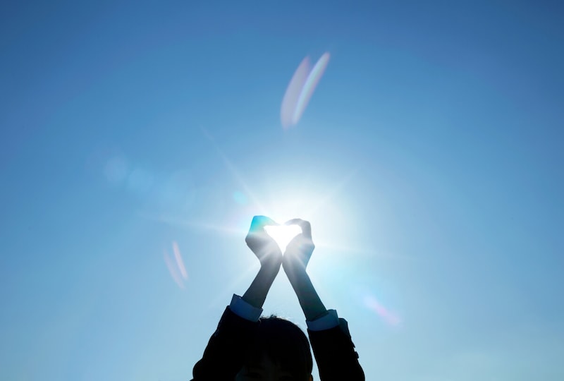 「家庭の絆」には勝てない