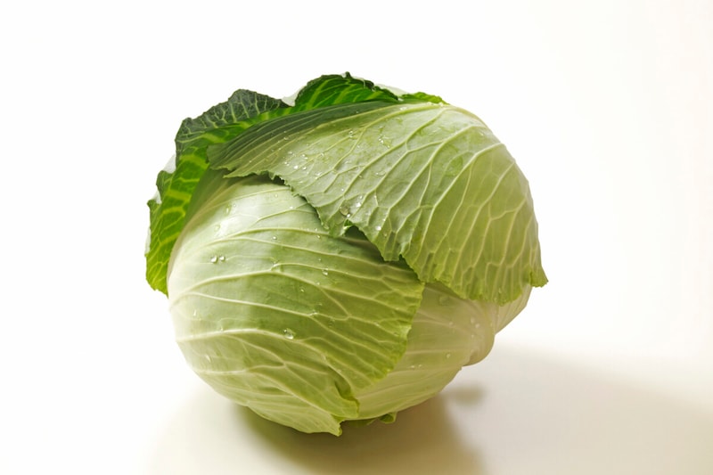 出典：キャベツで痩せる理由と「乳酸キャベツ」ダイエット法 [食事ダイエット] All About