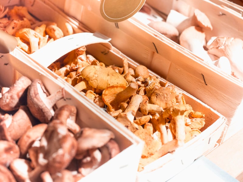 出典：食欲があってもOK！きのこダイエット [食事ダイエット] All About