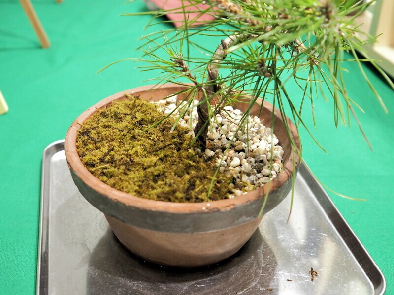 インテリア編10