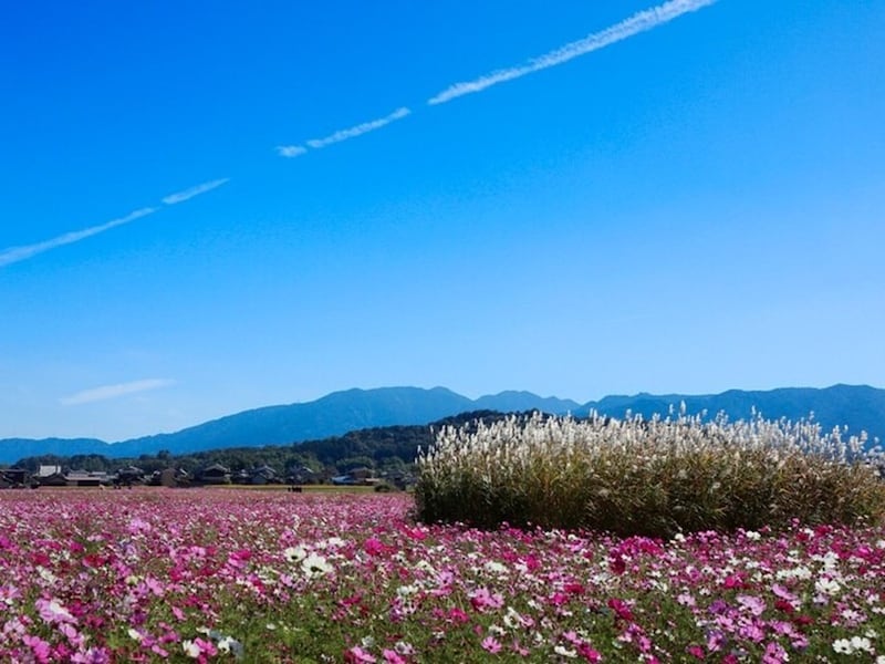 「天高く馬肥ゆる秋」は時候の挨拶としても使われます