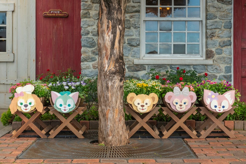 “リーナ・ベル”のフォトスポット