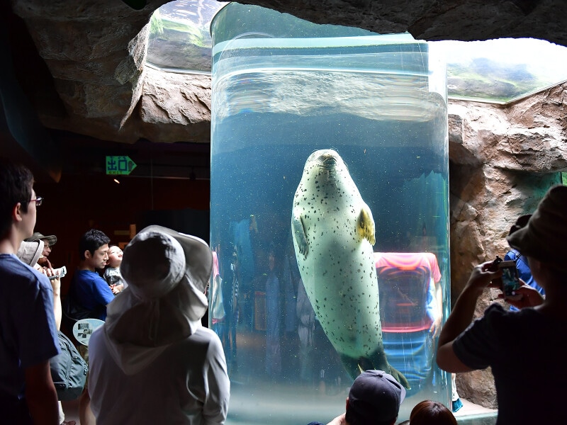 旭川市旭山動物園