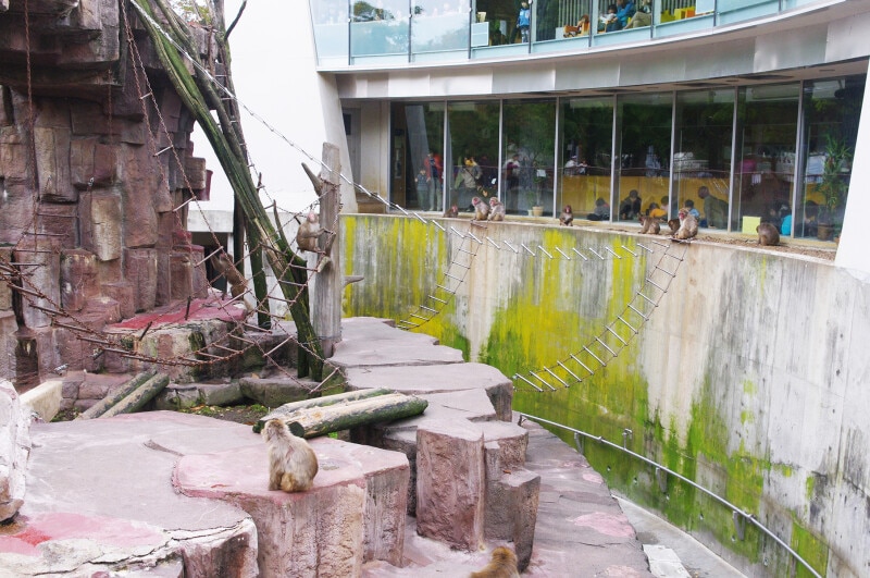 札幌市円山動物園