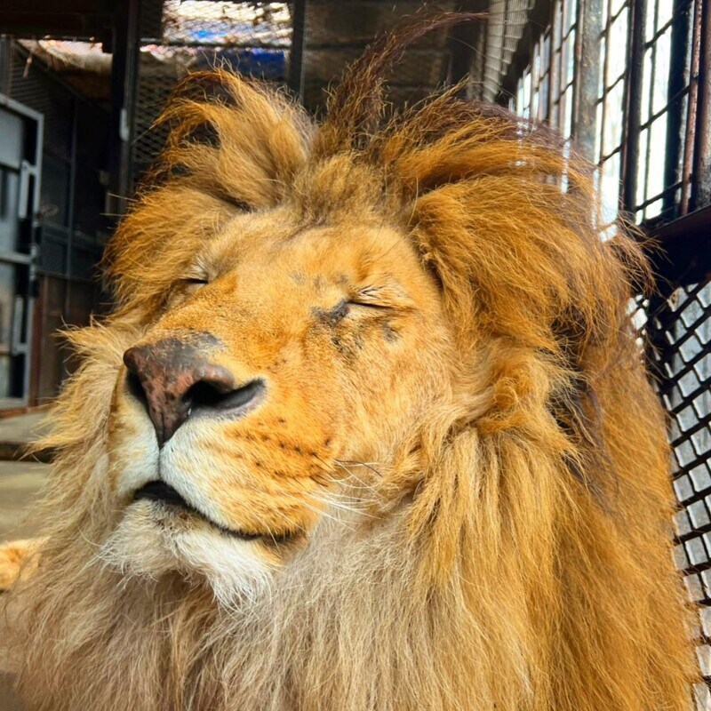 ノースサファリサッポロ