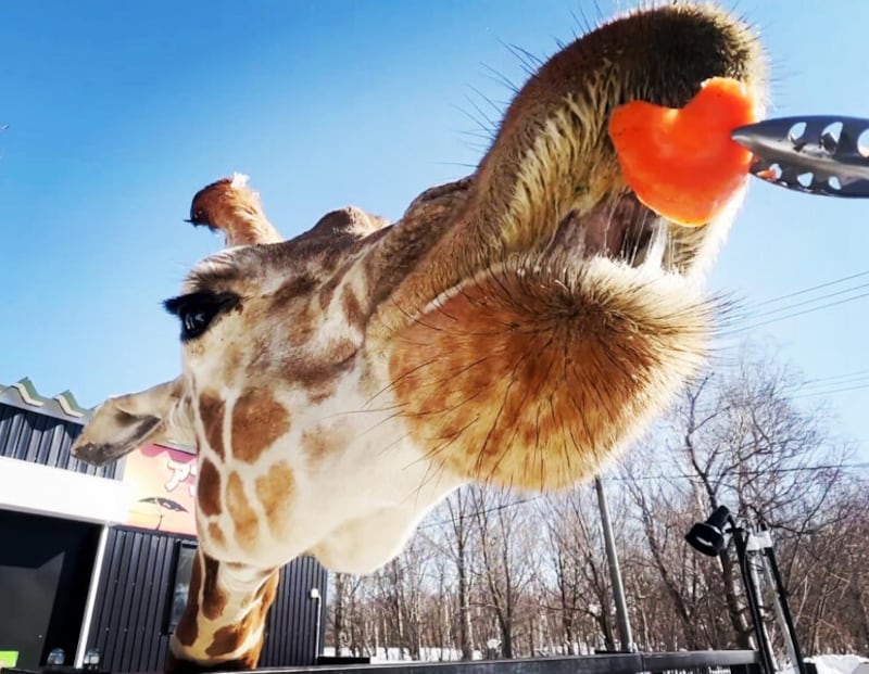 ノースサファリサッポロ