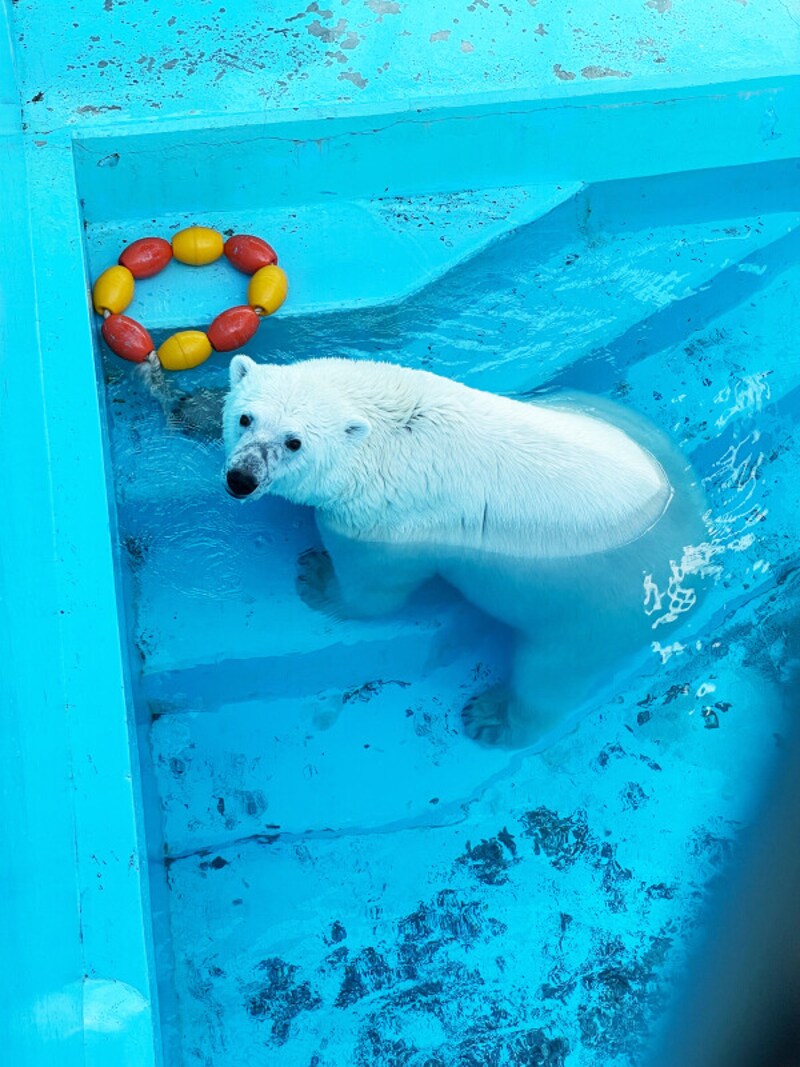 おびひろ動物園