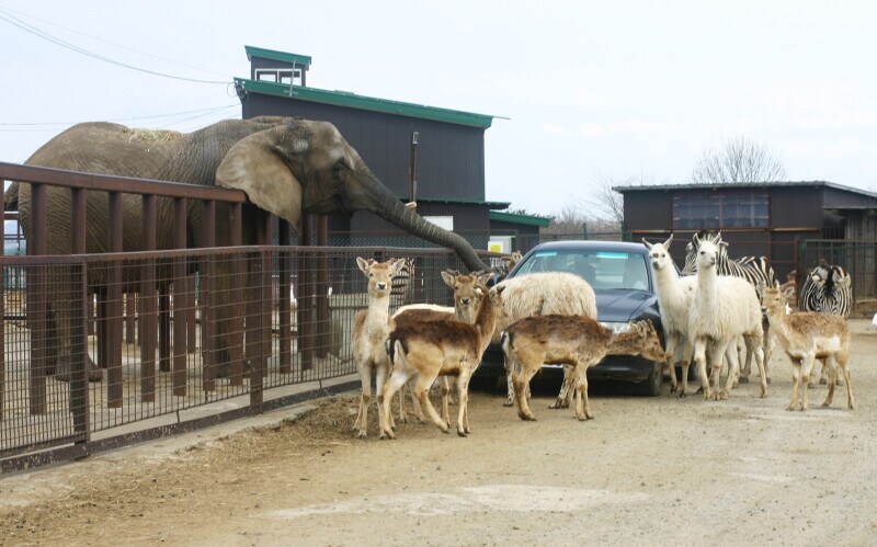 東北サファリパーク