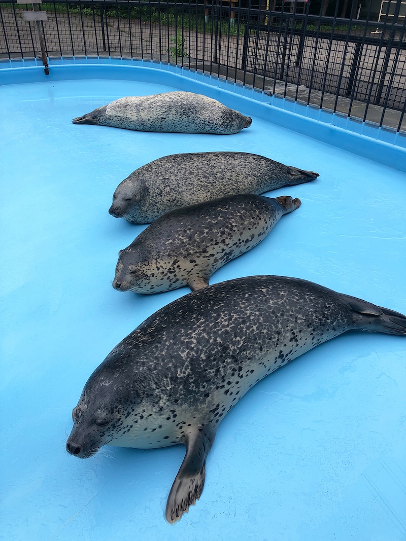おびひろ動物園