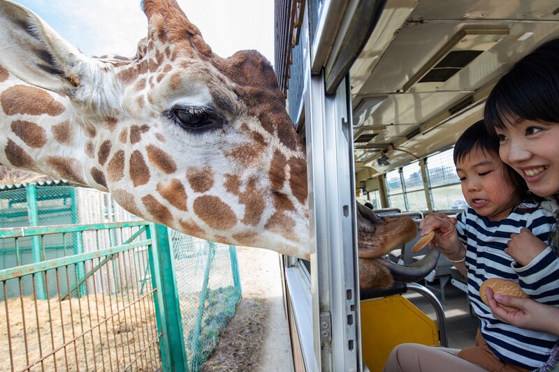 岩手サファリパーク