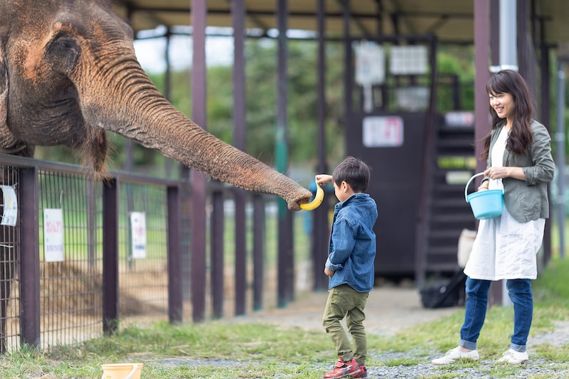 岩手サファリパーク