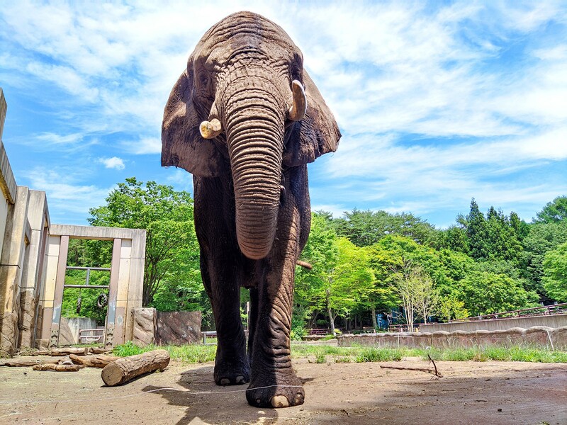 盛岡市動物公園 ZOOMO