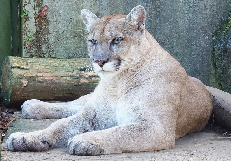 盛岡市動物公園 ZOOMO