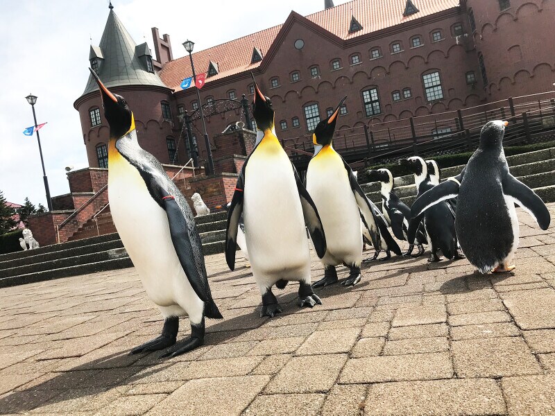 登別マリンパークニクス