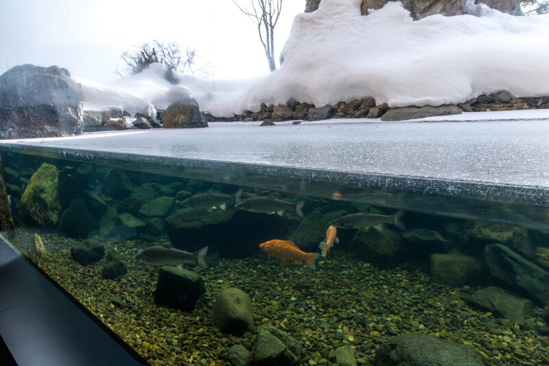 北の大地水族館 山の水族館