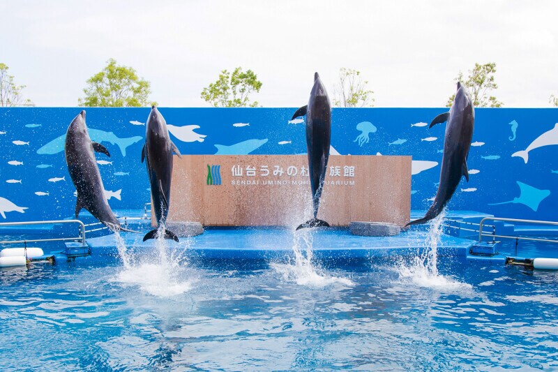 仙台うみの杜水族館